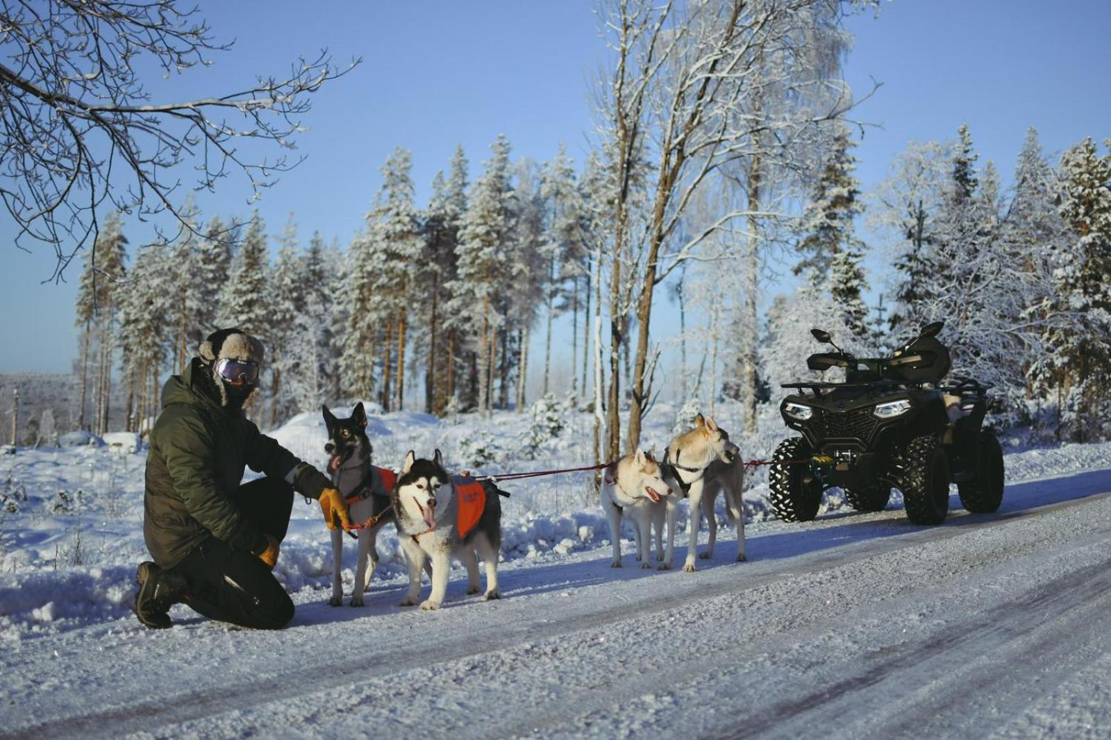 ÖverkalixArctic Ranch别墅 外观 照片