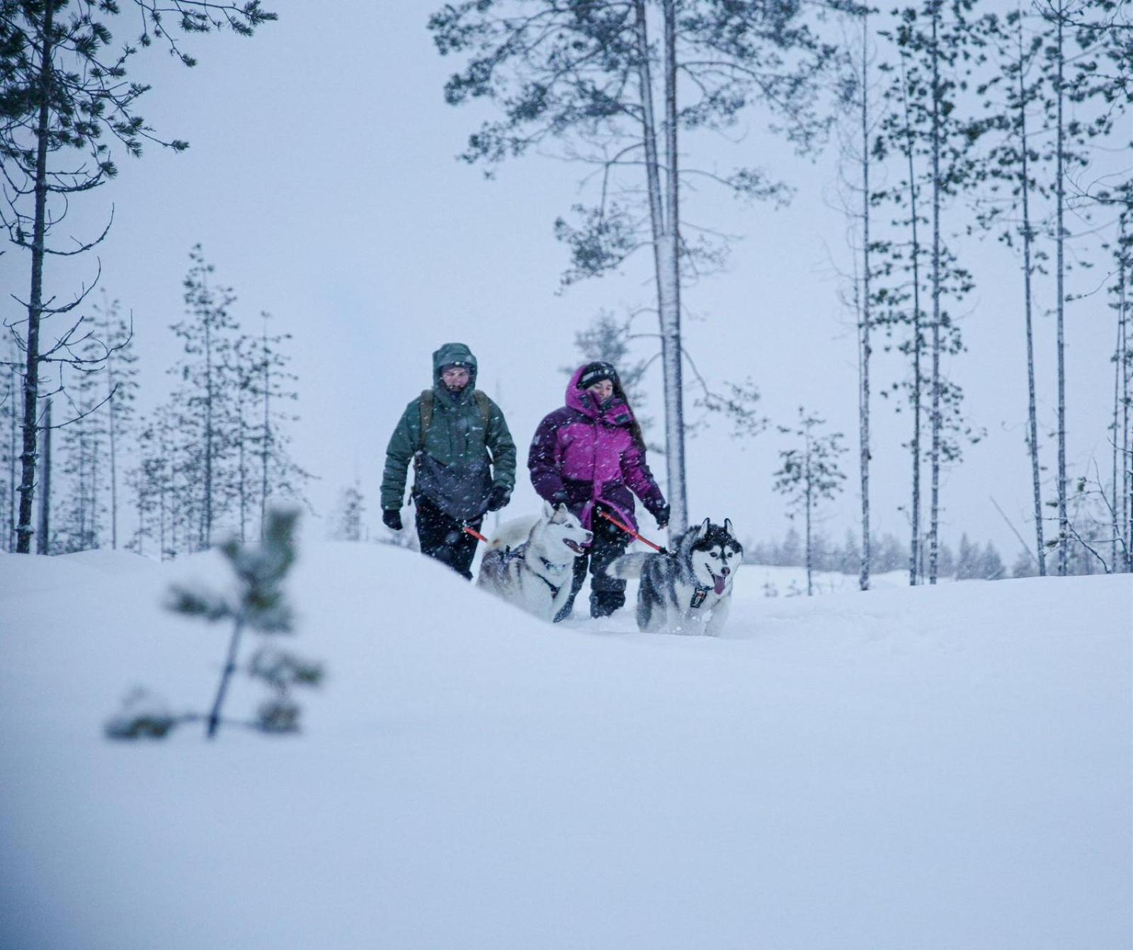 ÖverkalixArctic Ranch别墅 外观 照片
